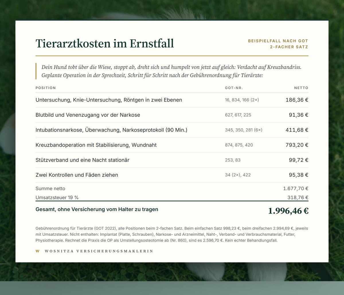 Beispielrechnung nach der Gebührenordnung für einen Kreuzbandriss beim Hund, zweifacher Satz, Gesamtsumme 1.996,46 Euro mit Umsatzsteuer, ohne Implantat und Medikamente